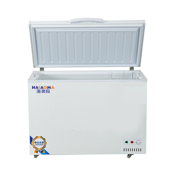 一个门盖冷柜（BC/BD-388）